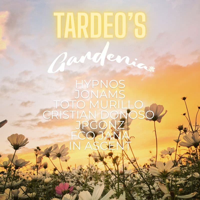 Tardeo's Gardenia image}